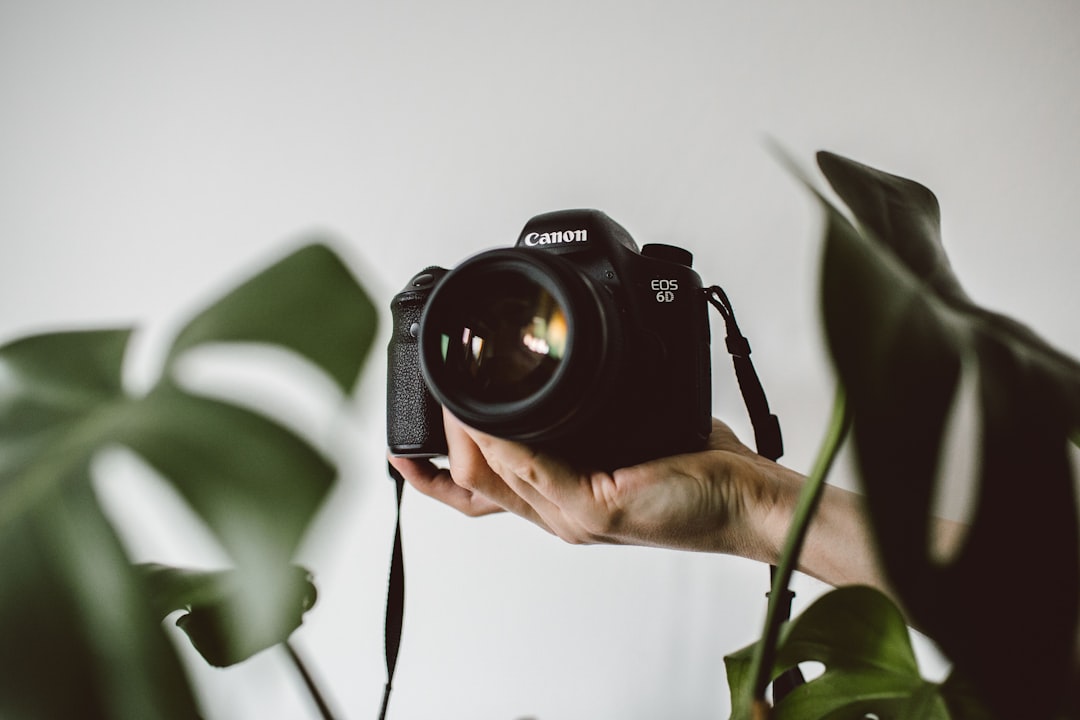 The Green Lens: Eco-Friendly Alternatives in Photography Equipment The Green Lens: Eco-Friendly Alternatives in Photography Equipment